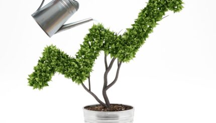 Making your business sustainable